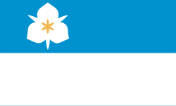 Flag of Salt Lake City (2020)